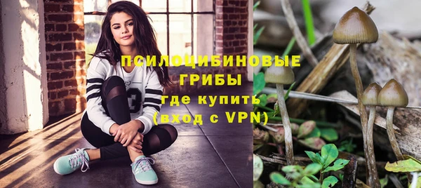 mdpv Остров