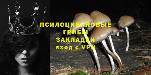mdpv Остров