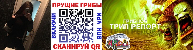 Псилоцибиновые грибы прущие грибы  как найти наркотики  Рыльск 